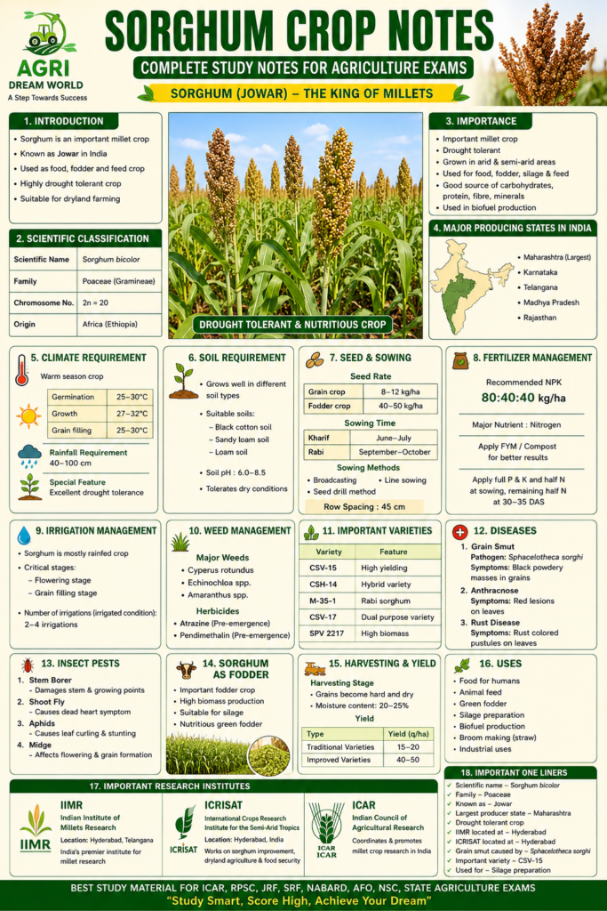 Sorghum Crop Notes for Agriculture Exams infographic with Agri Dream World logo, jowar field, drought tolerant crop information, sorghum diseases, fodder management, millet research institutes, and important one-liner questions.