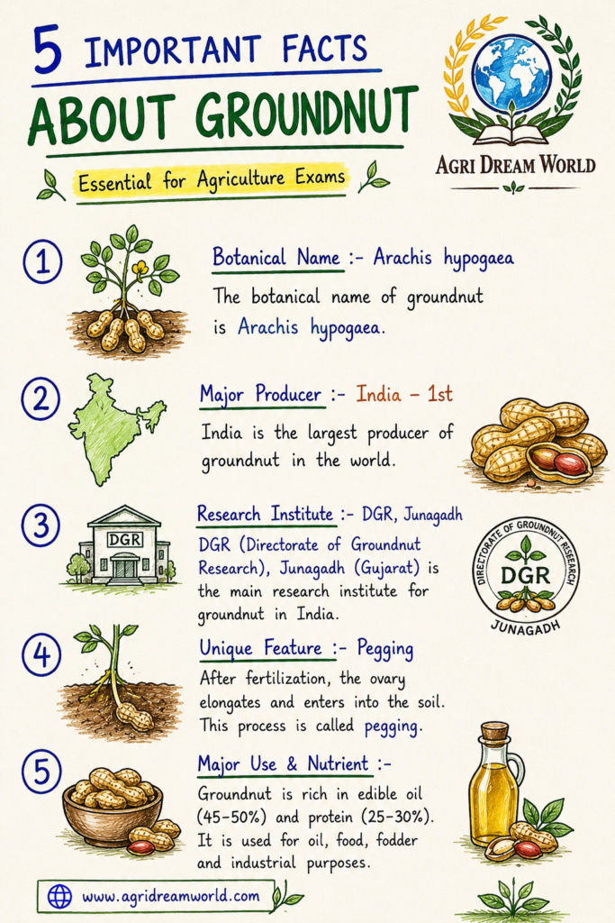 Groundnut Crop Notes infographic for Agriculture Exams featuring peanut plants, pods, pegging process, important varieties, diseases, DGR Junagadh institute, and Agri Dream World logo.