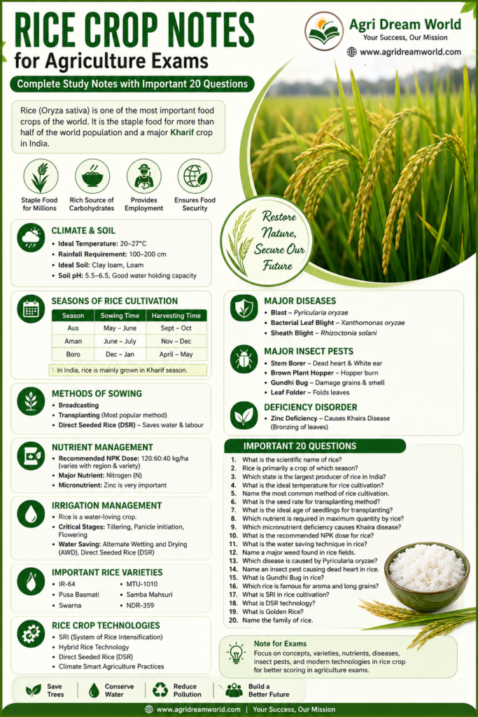 Rice Crop Notes for Agriculture Exams poster with Agri Dream World logo, rice field, important rice cultivation notes, diseases, irrigation management, and 20 important agriculture exam questions.